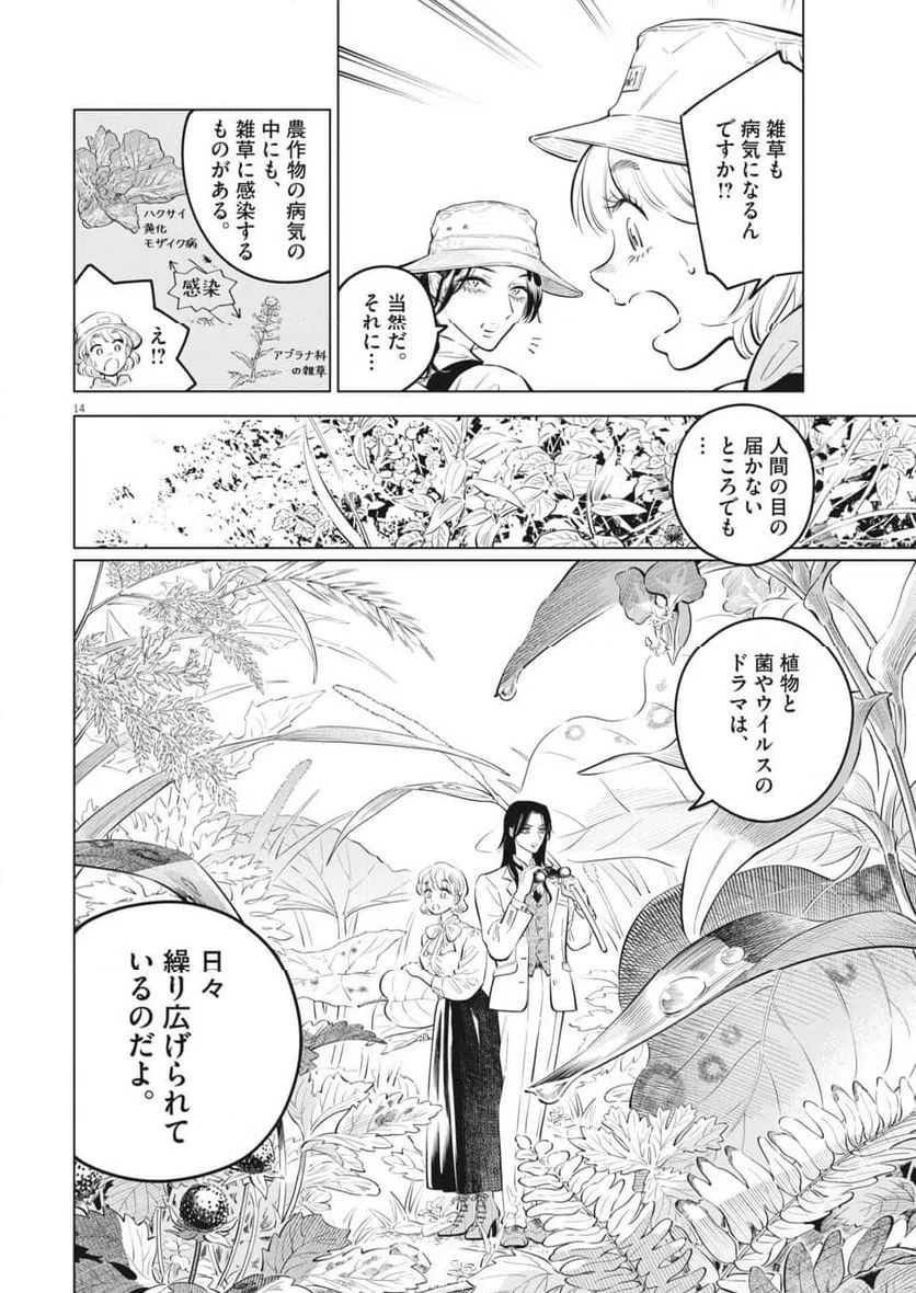 Page 14