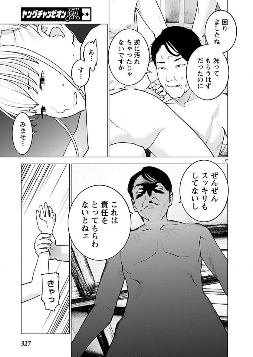Page 17