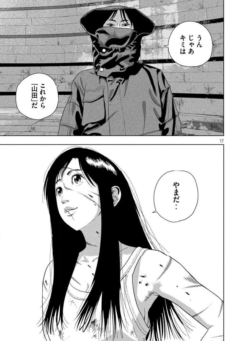Page 17