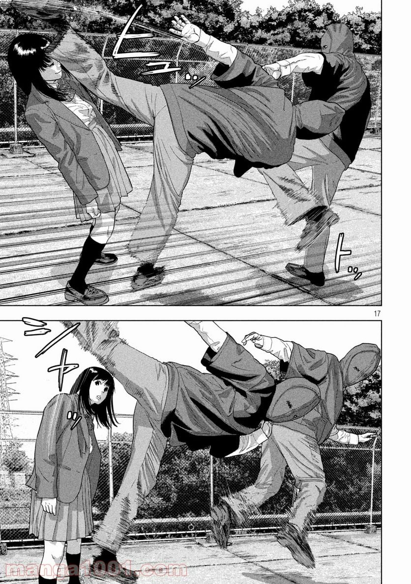Page 17